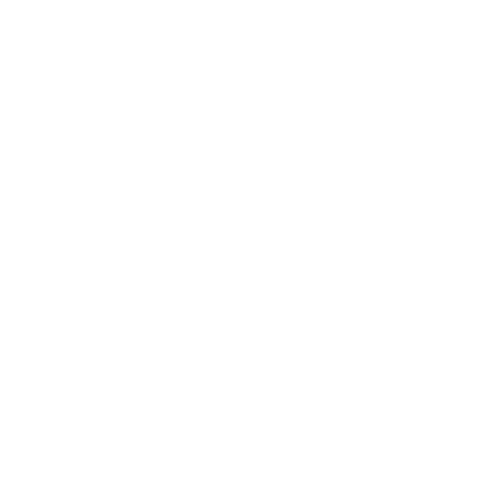 art-of-living